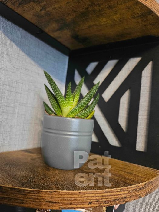 Loftowa narożna dekoracja ścienna kwietnik 5 poziomów wzór