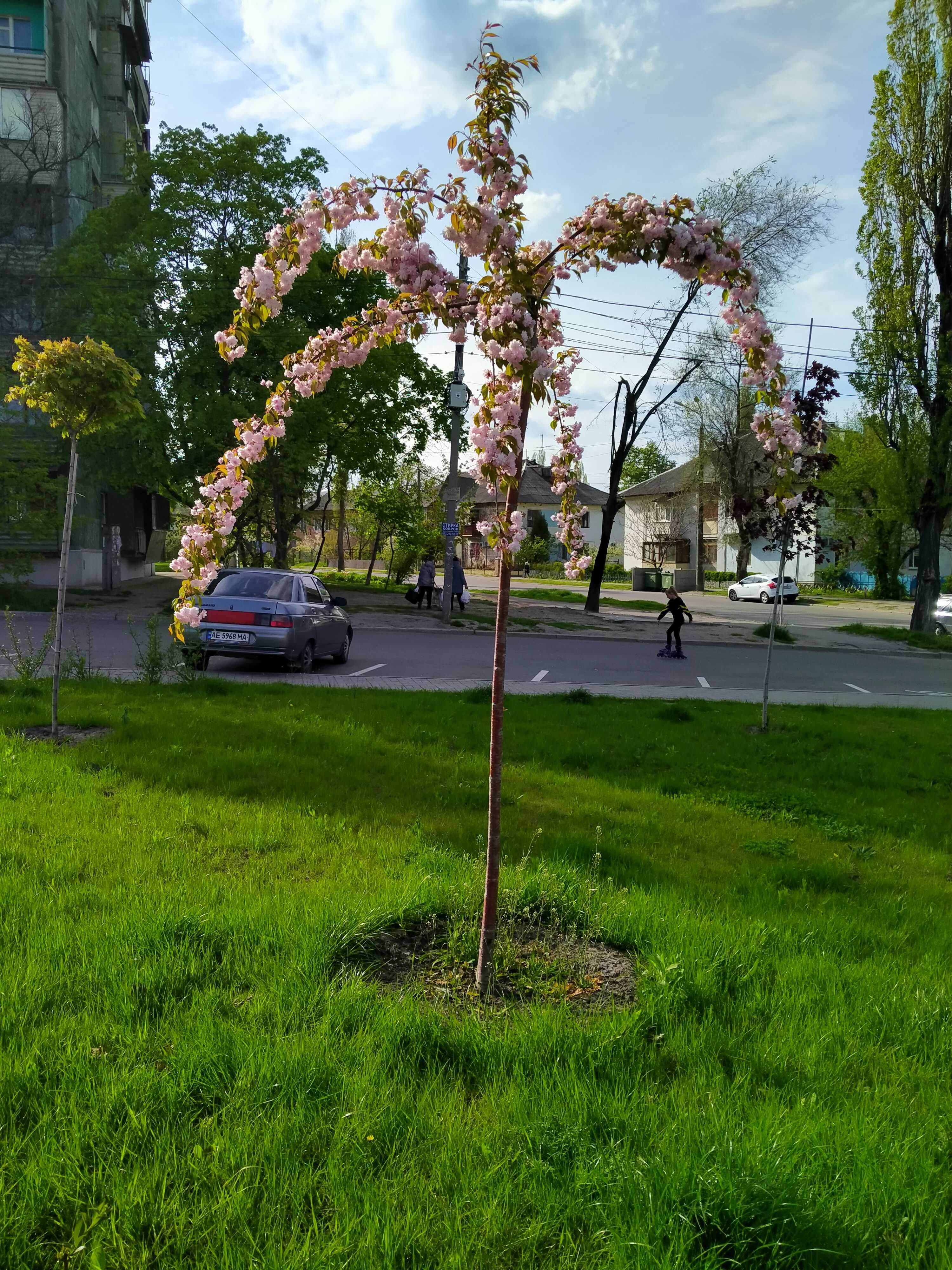 Продам дом на Западном