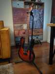 ESP LTD TE-200 TSB Tobacco Sunburst Telecaster z Autografem DR MISIO