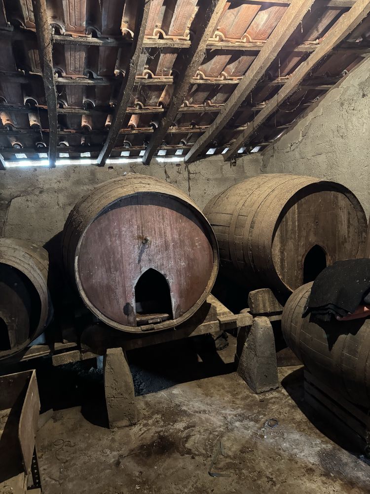 Tonel pipas barris em madeira antigos
