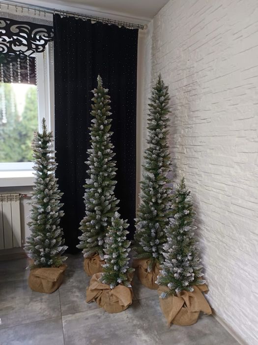 Choinka SLIM w doniczce + GRATIS