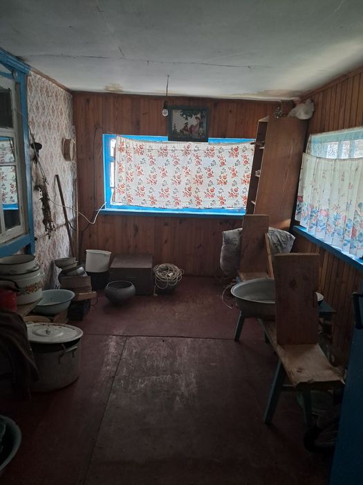 Будинок на околиці села зі зручностями