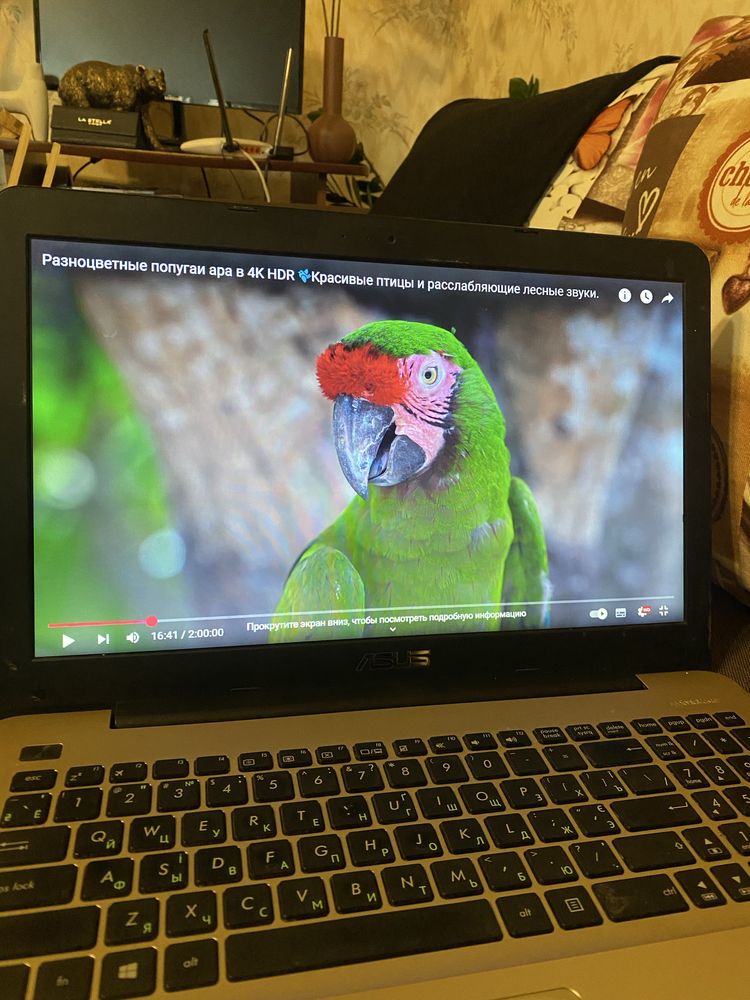 Ноутбук Asus 15.6