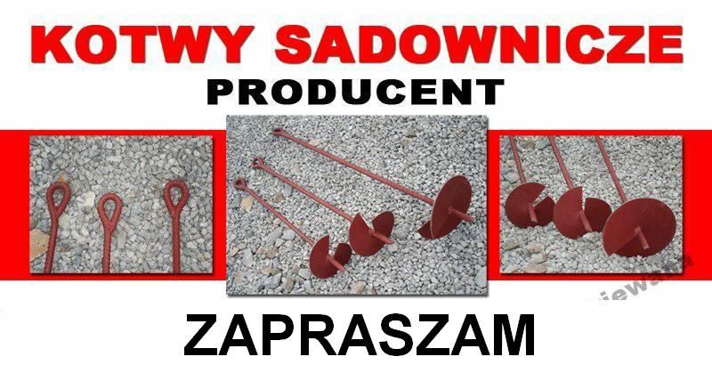 Kotwa sadownicza sandomierz obrazów łoniów dysk18cm dł.100cm pręt 16mm