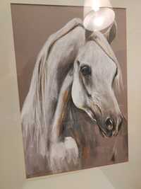 Obraz, portret konia, pastele na papierze. Krzysztof Jarocki