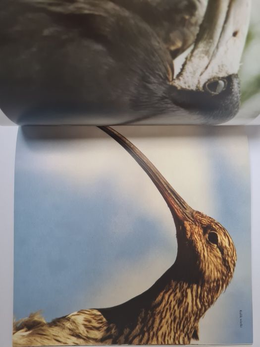 Przywrócić naturze - Książka