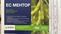 Продається насінева соя Ментор