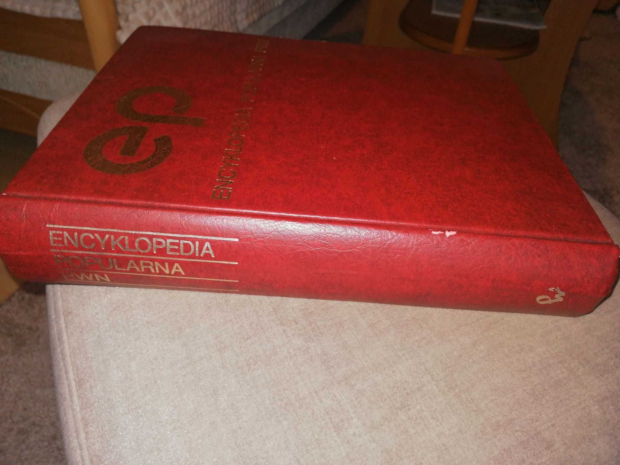 Encyklopedia PWN stan bdb