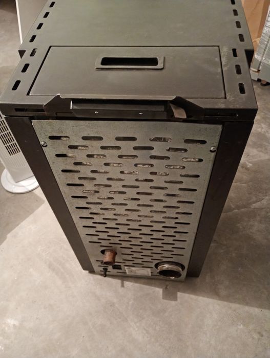 Salamandra em perfeito estado!