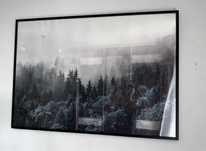 Plakat w ramie Las we mgle 70x100