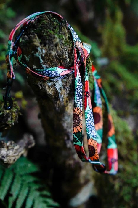 smycz treningowa z regulacją 300 cm dla psa do 20 kg beagle buldog