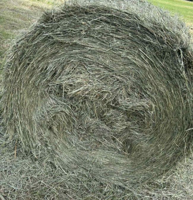 Siano w balotach z 2025r