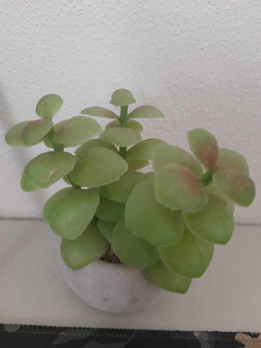 Planta Artificial
