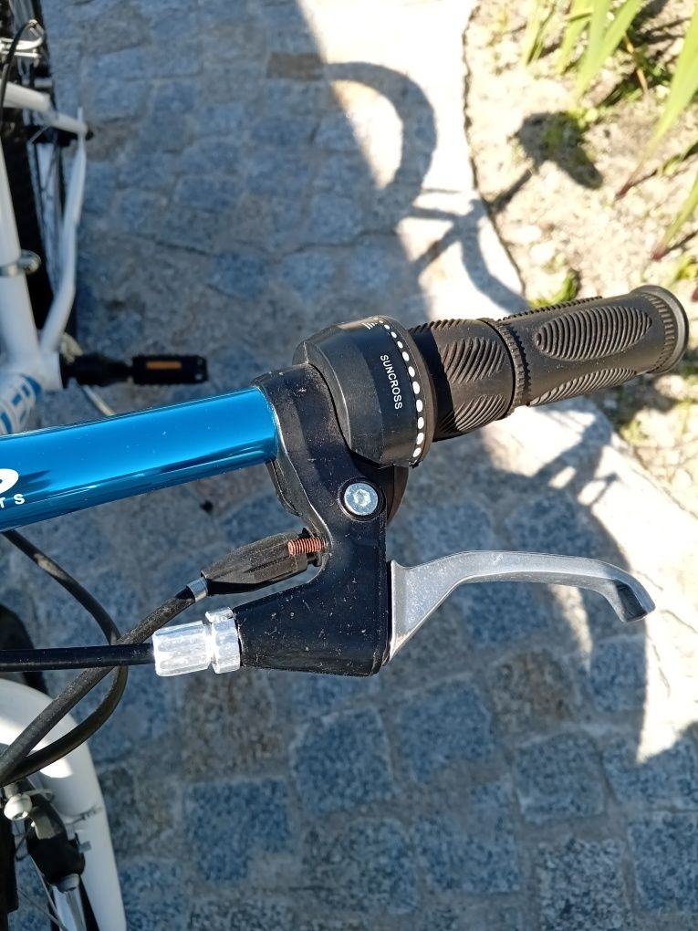 Bicicleta roda 24