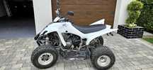 Yamaha Raptor 350 R