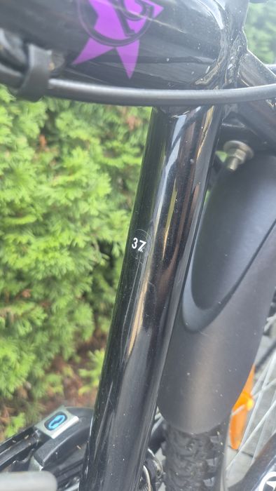 AKTUALNE rower Genesis dziewczęcy