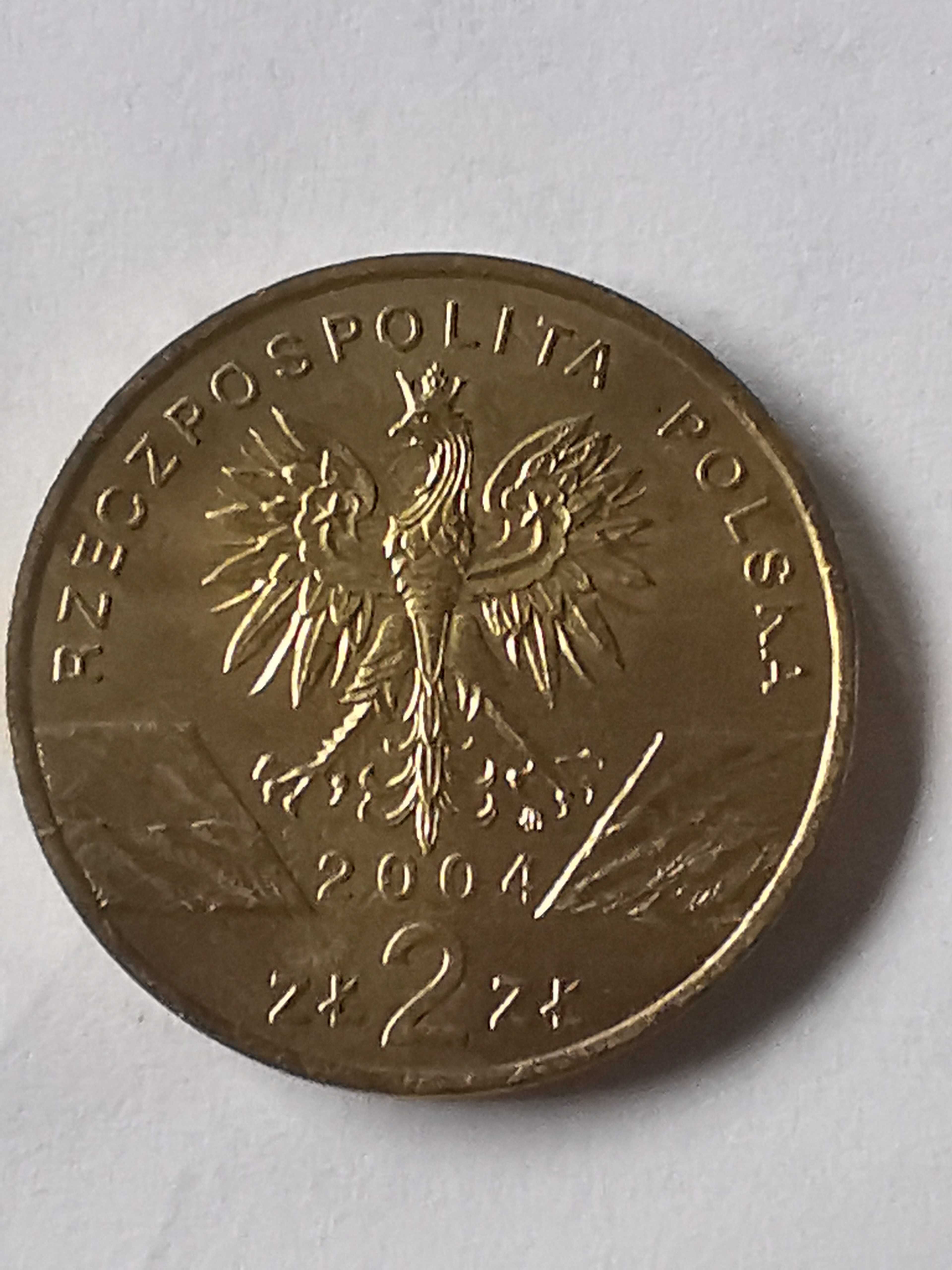 Moneta Morświn 2 zł 2004r.