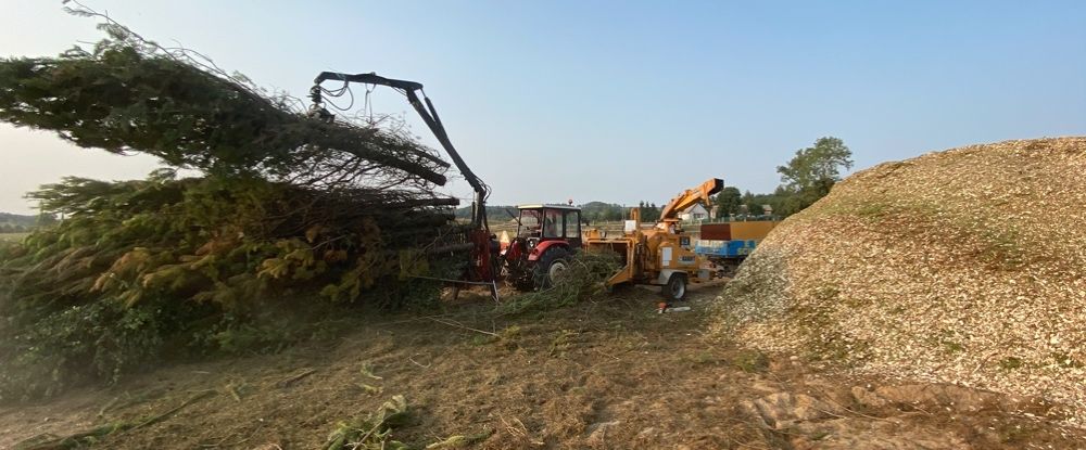 Ścinka drzew / wycinka drzew / wycięcie drzewa / Rębak do gałęzi