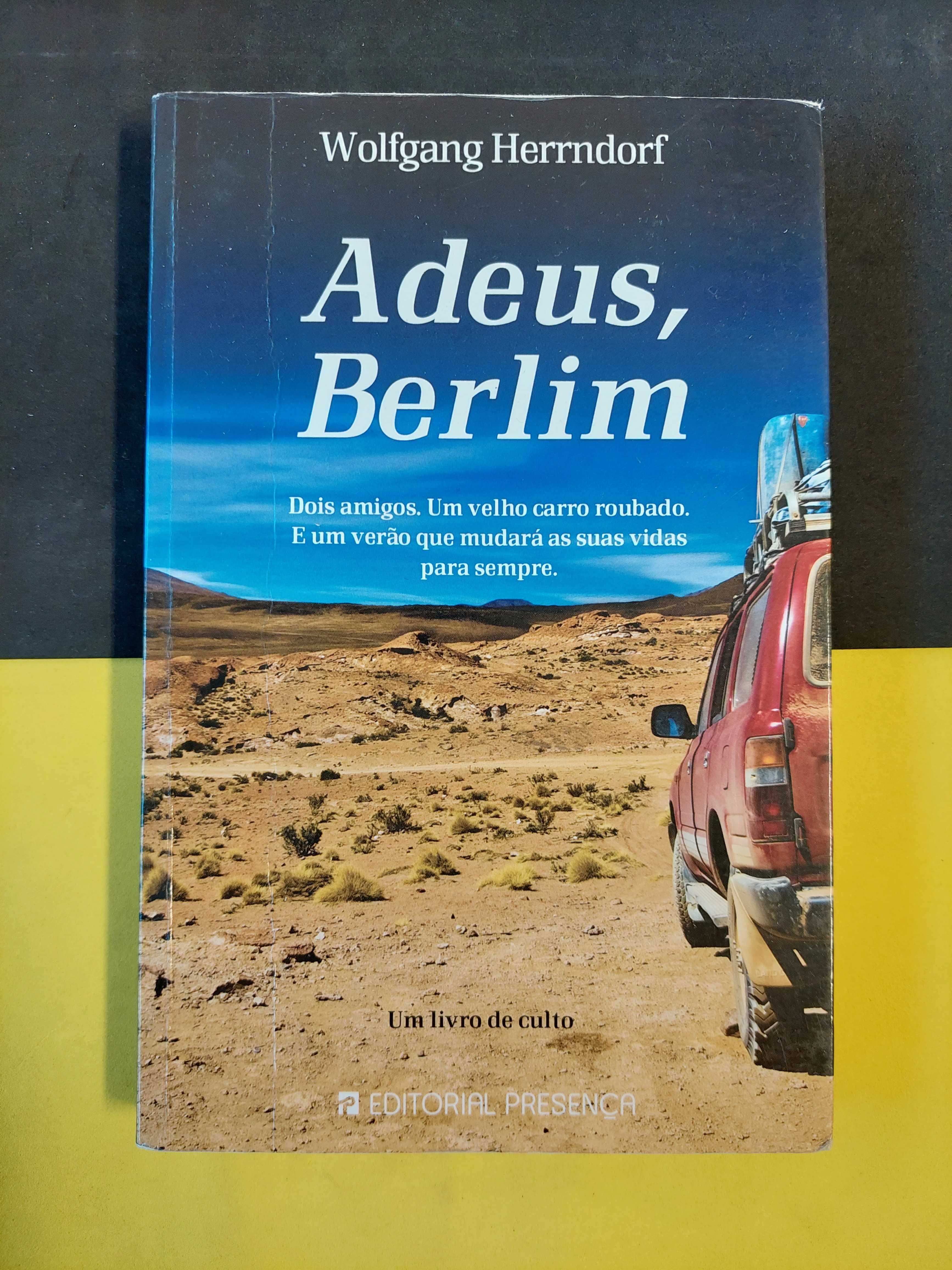 Wolfgang Herrndorf - Adeus, Berlim