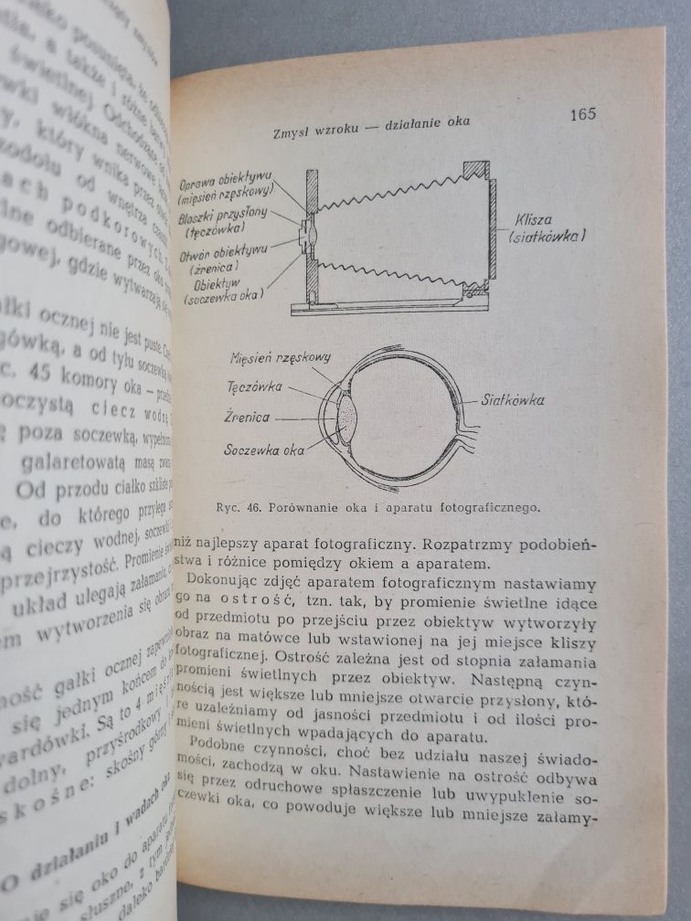 O budowie i czynnościach ciała ludzkiego - Dr B. Zaremba