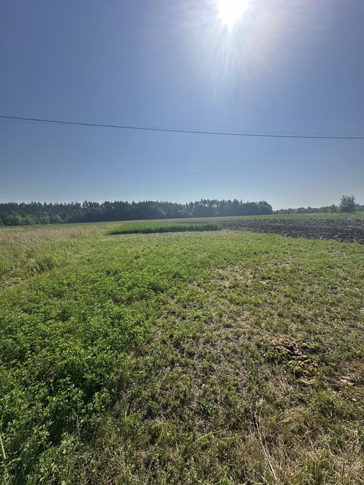 Земельна ділянка на Саєнка , Марʼянівка