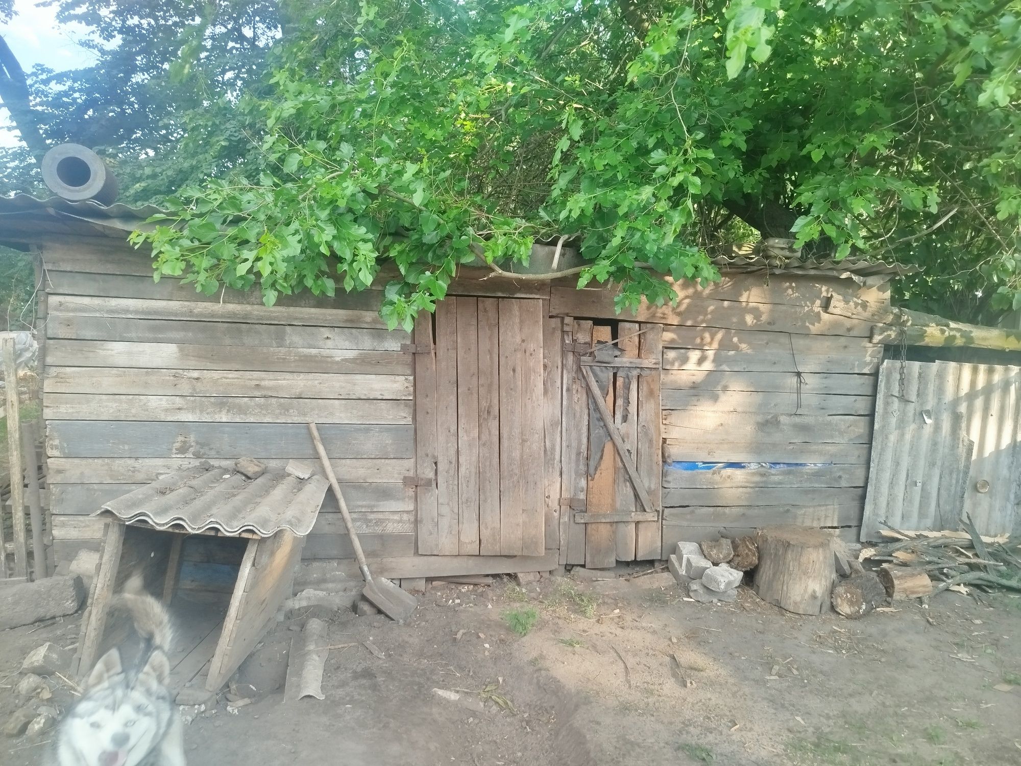 Продам дом, село Веселе