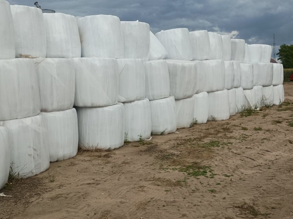 Sprzedam sianokiszonkę 500 bel