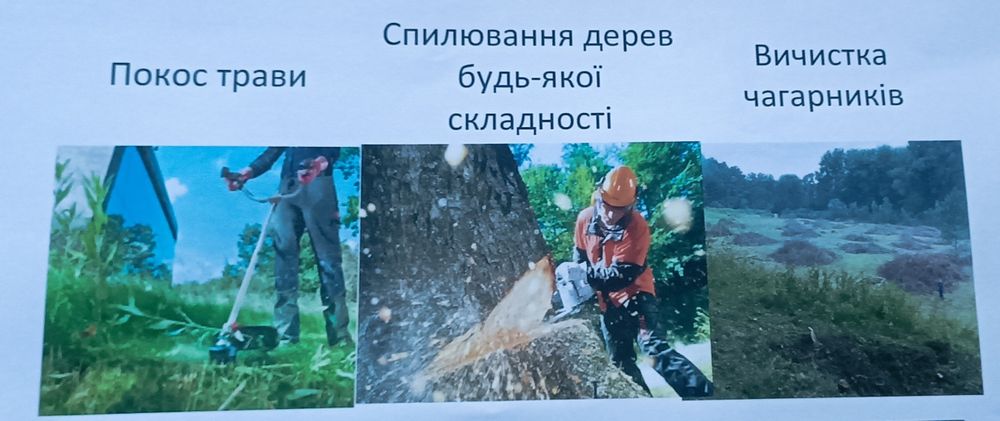 Спилювання аварійних дерев будь якої складності