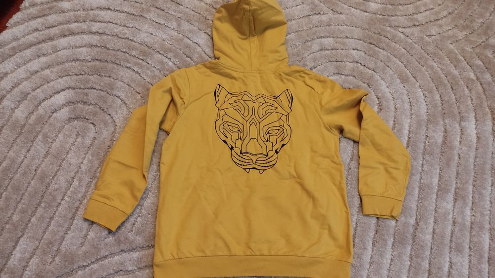 Nowa bluza coccodrillo 158, chłopięca