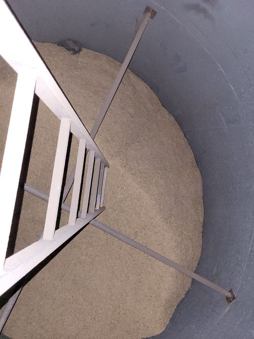 Owies Bingo, pierwszy rok po centrali na pasze zbiór 2025