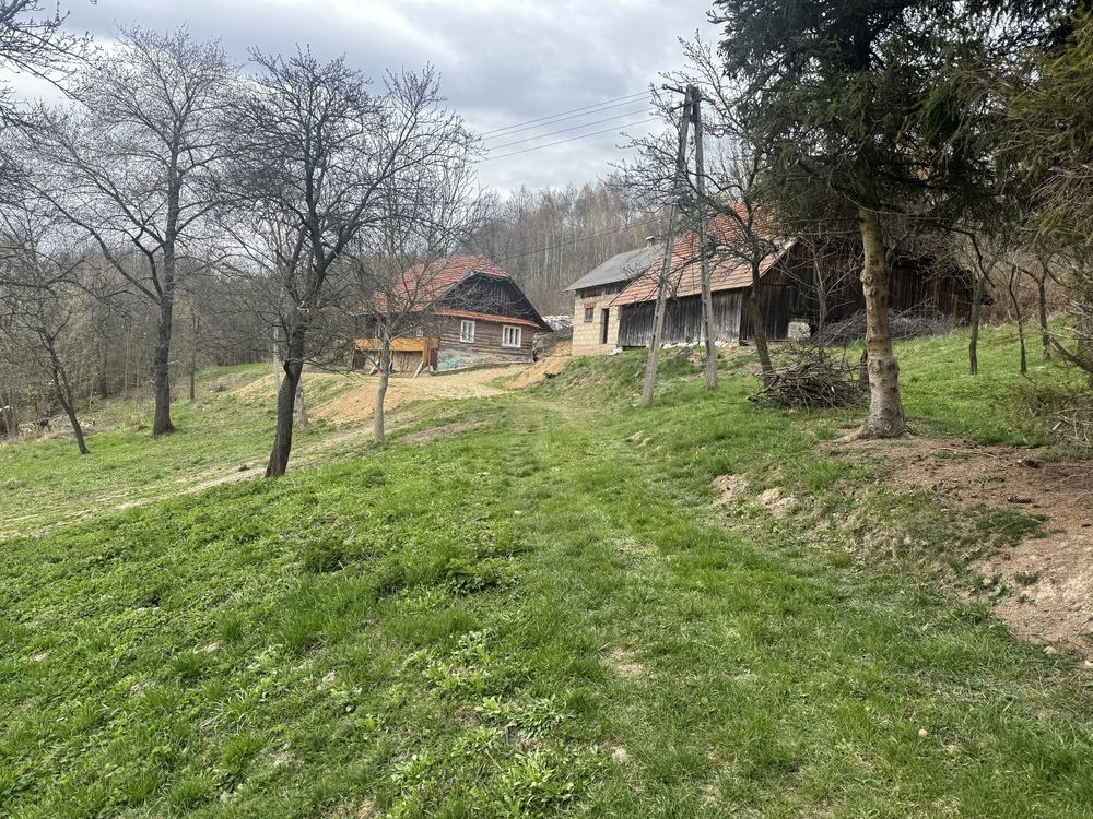 Dom Siedlisko Lutcza
