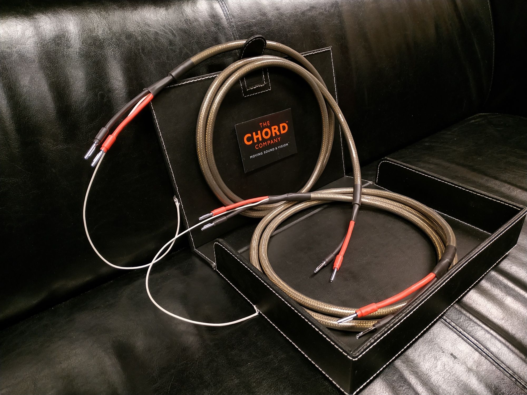 Chord Epic X XL kable głośnikowe Trans Audio Hi-Fi Wrocław