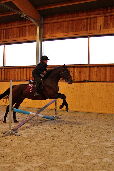 Wysoka klacz  (170cm) pelny TUV