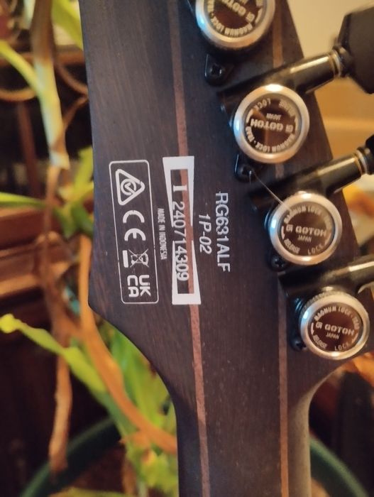 Ibanez blue cameleon RG631