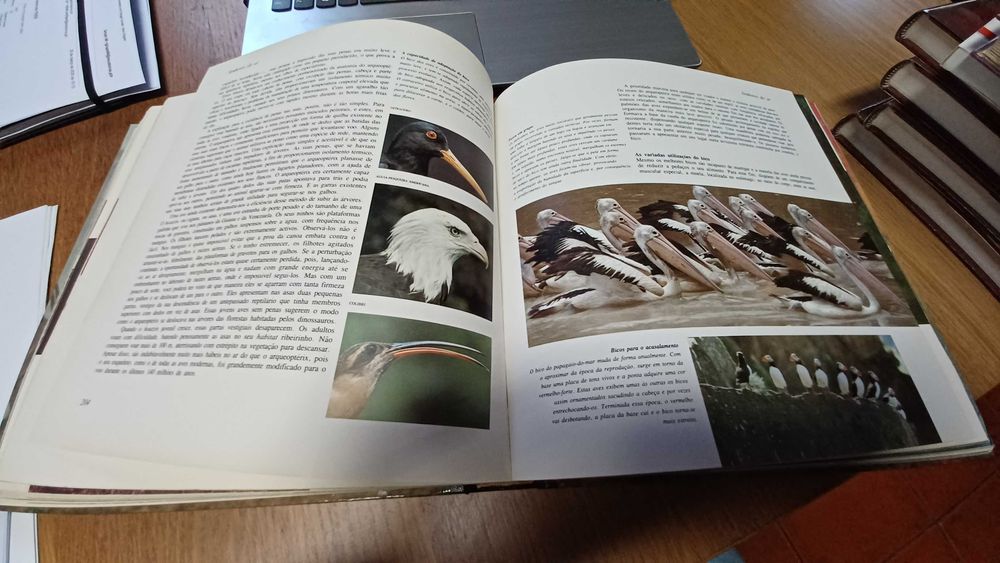 Livro A Vida na Terra de David Attenborough