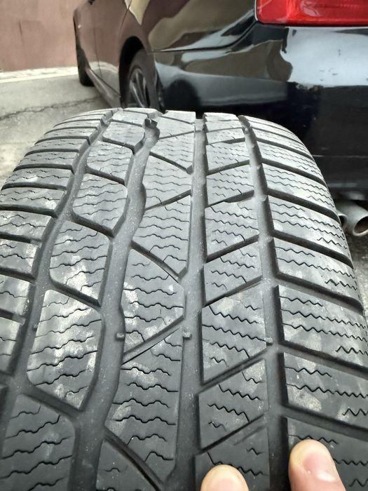 шина continental ContiWinterContact ts830p