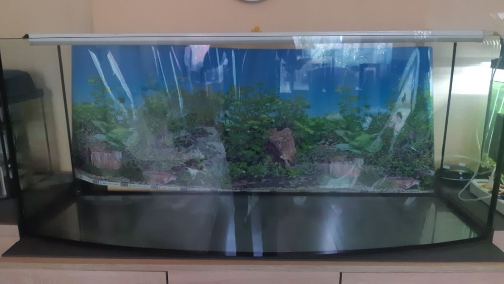 Sprzedam lub zamienię akwariumy 205 litrów 120 cm szerokość