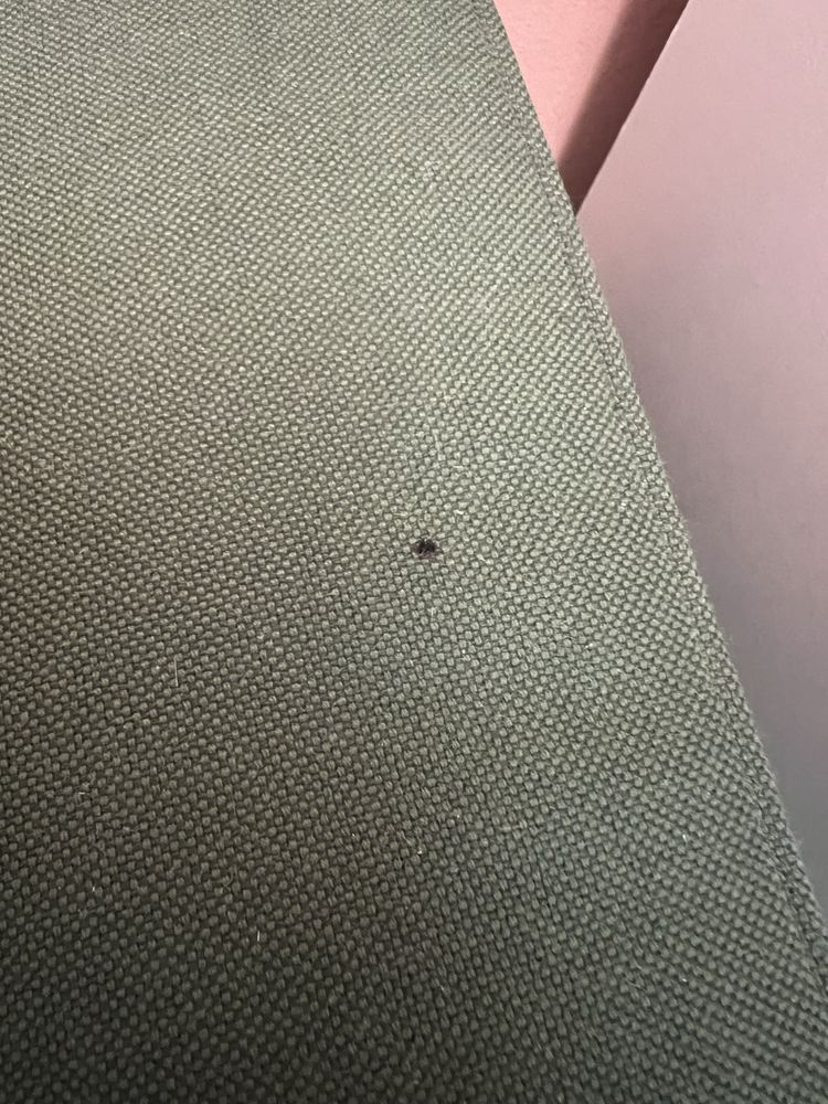 Kanapa sofa IKEA Parup dwuosobowa zielona