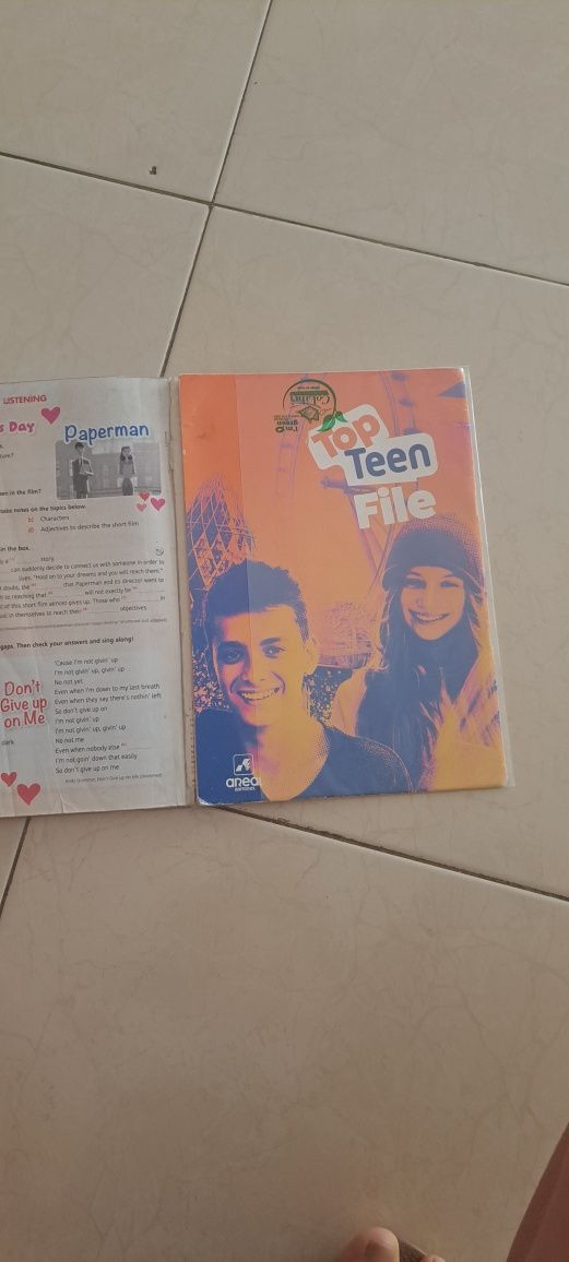Livro Manual de Inglês top teen 8 ano usado