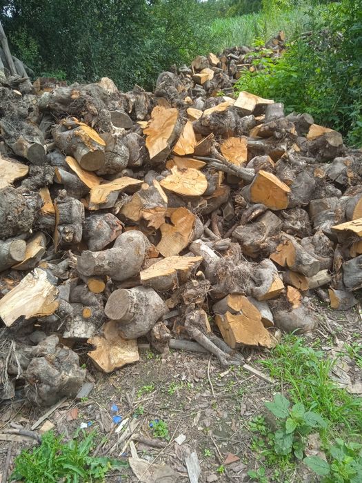 Drewno opałowe pieńki jabłoń