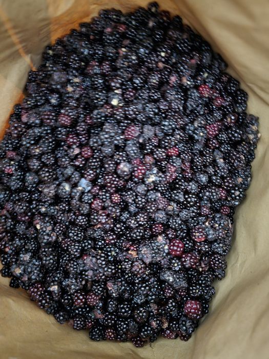 Продам ожину,малину,грис.