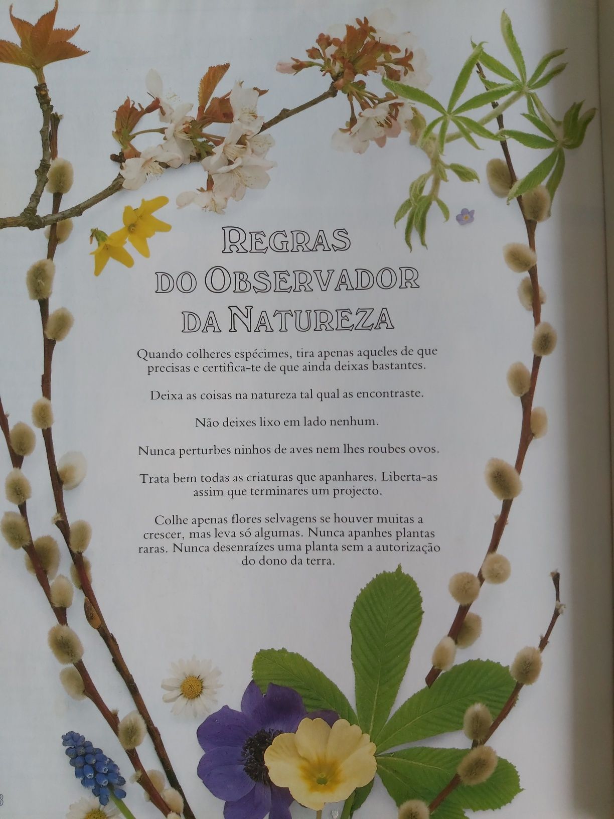 O meu primeiro livro da natureza
