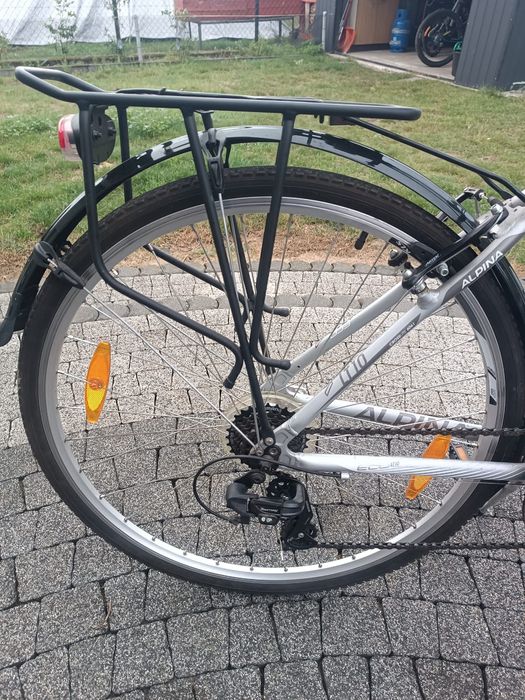 Rower Alpina eco