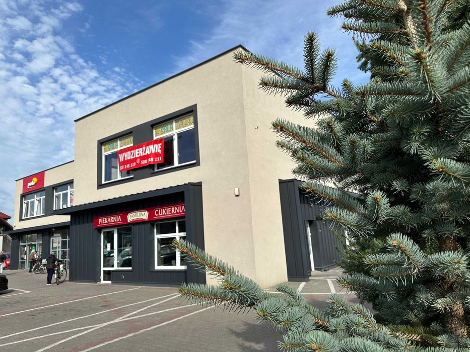 Wynajmę lokal użytkowy w Sycowie