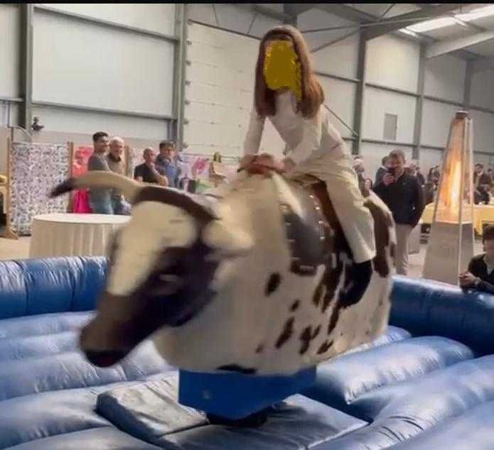 Aluguer de Touro mecânico