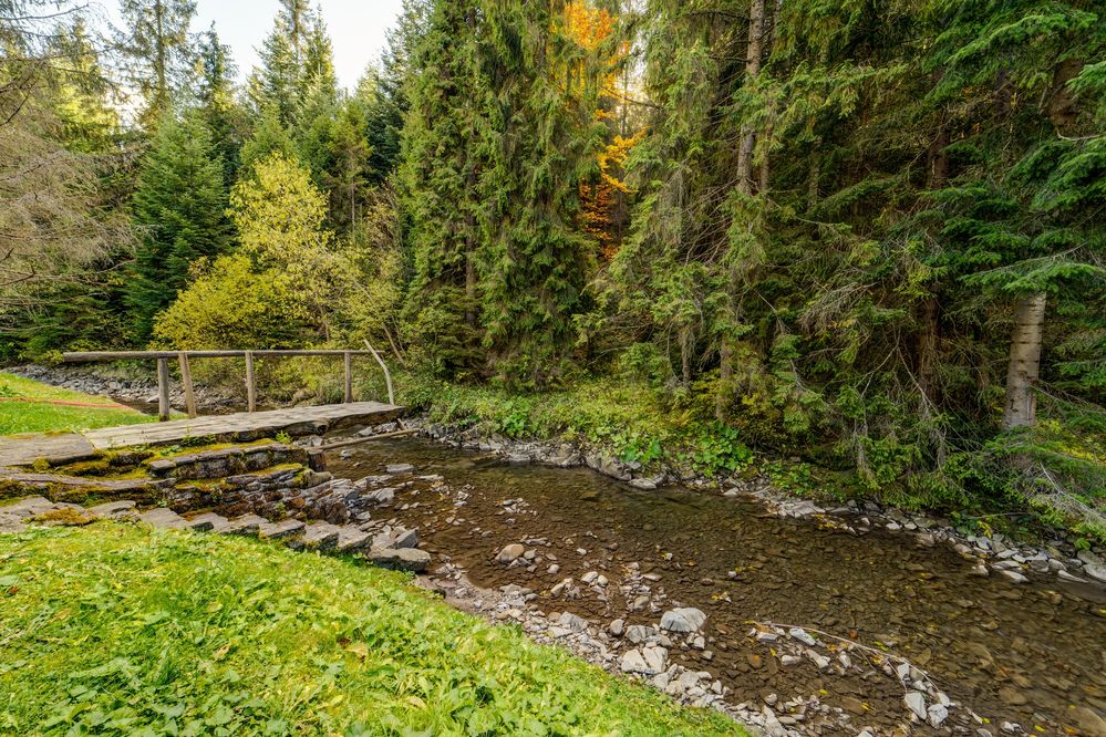 Wolny weekend Domek z balią i kominkiem w lesie Podhale Gorce