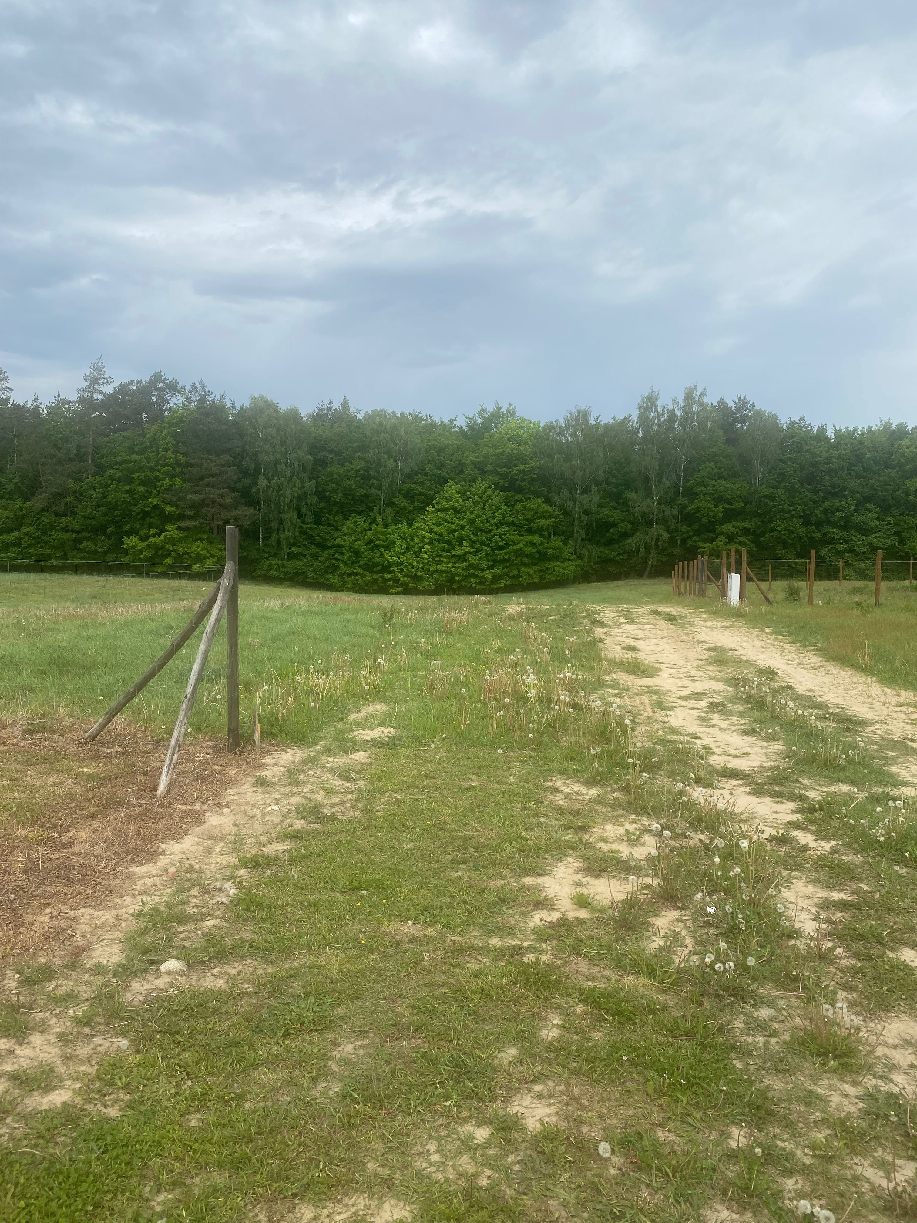 Działka granicząca z  lasem- Wejherowo.