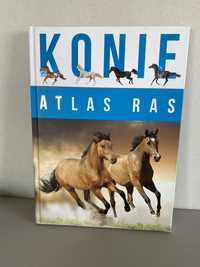 Konie atlas ras jak NOWA