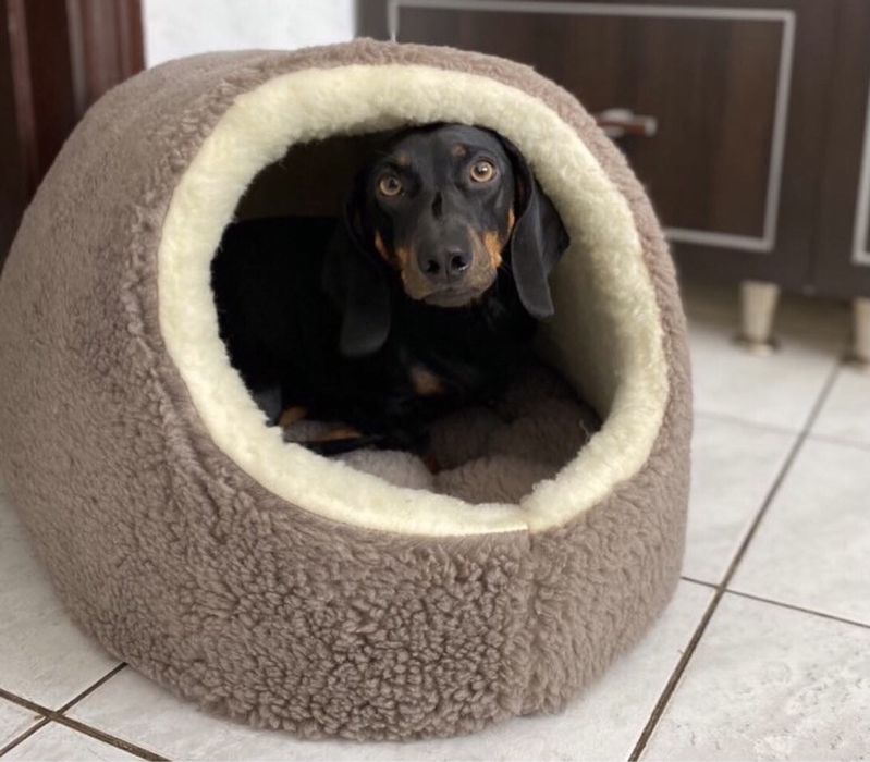 Тепла хутряна хатинка будиночок лежанка лежак для тварин кота собаки