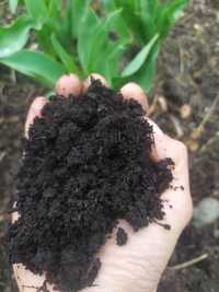 Kompost ogrodowy, ziemia kompostowa bio (certyfikat)